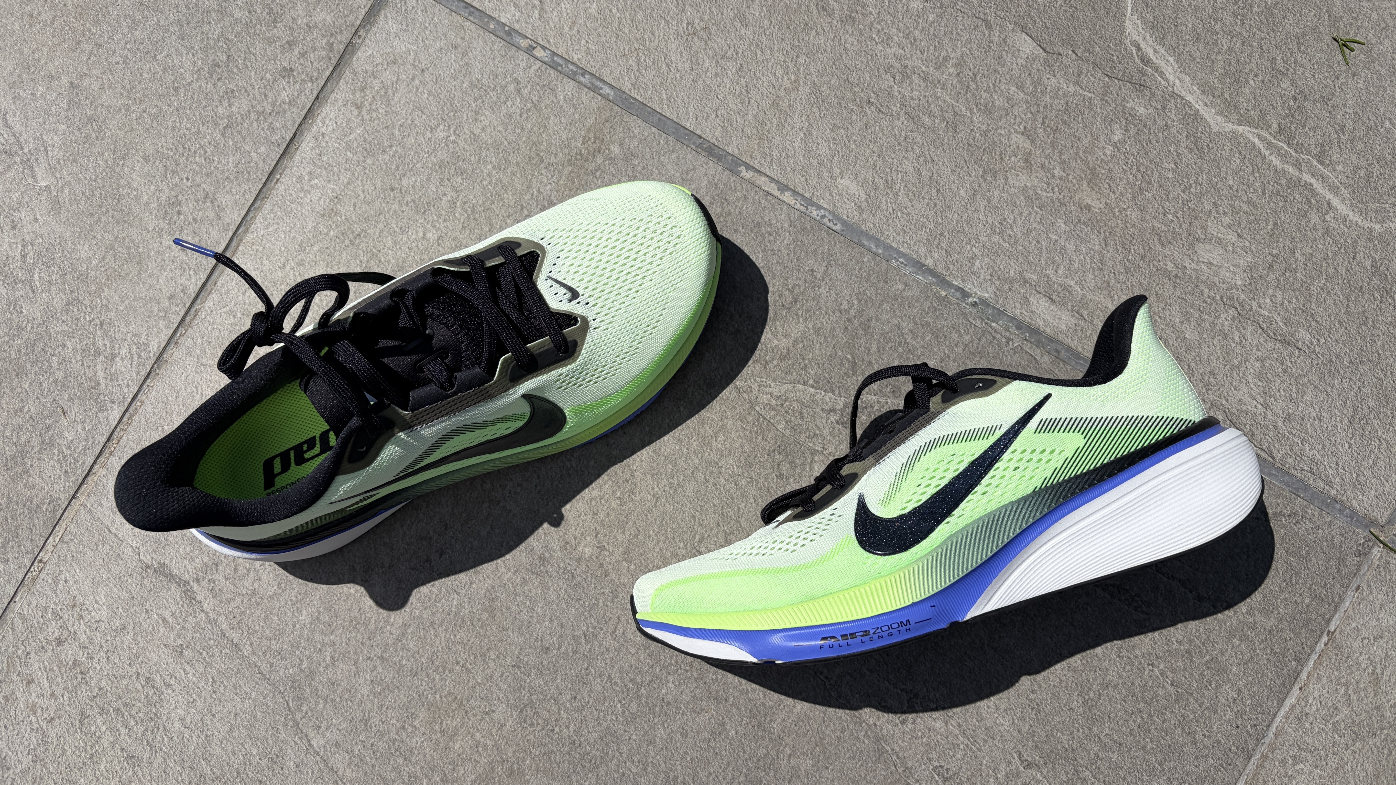 Nike Pegasus 42