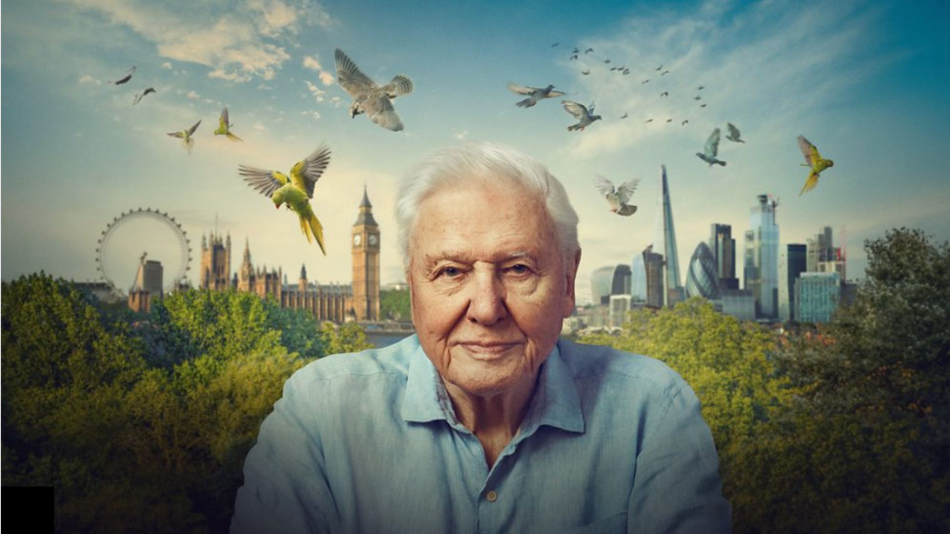 a promotional image of sir david attenborough in front of an artistic london skyline with birds overhead 