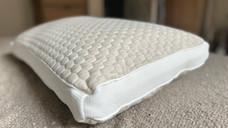 Soak&Sleep Shredded Memory Foam Standard Pillow