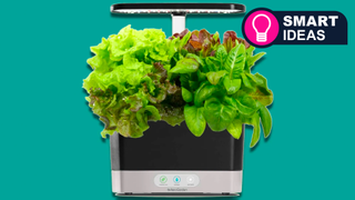 AeroGarden planter on a teal background