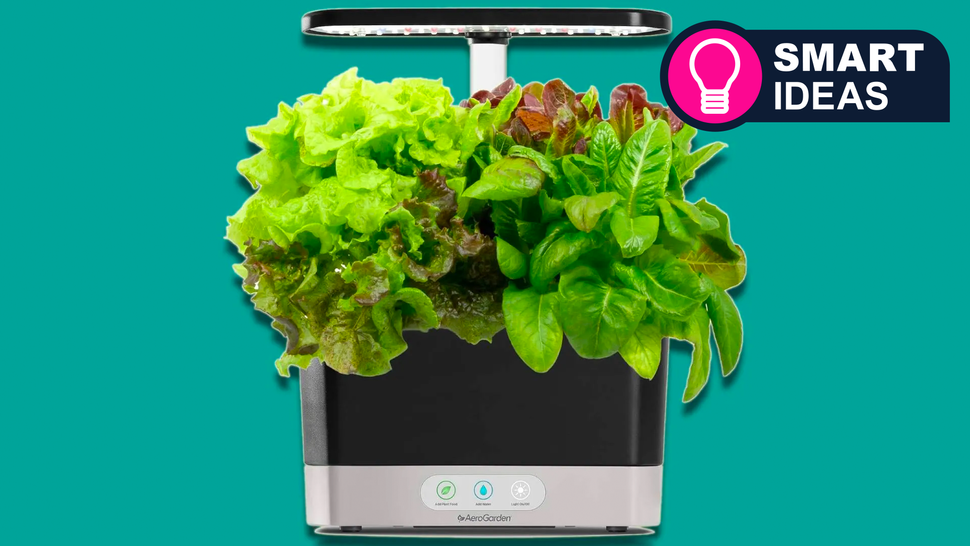 Even If Youre Terrible With Plants This Smart Device Will Help You Grow A Garden Techradar 3433