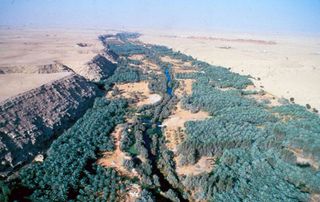 ﻿General view of the Wadi, 2005