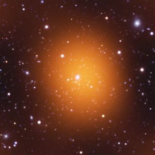 Phoenix Cluster Microwave Image
