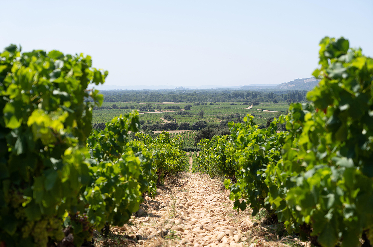 Ch&acirc;teauneauneuf-du-Pape 2020