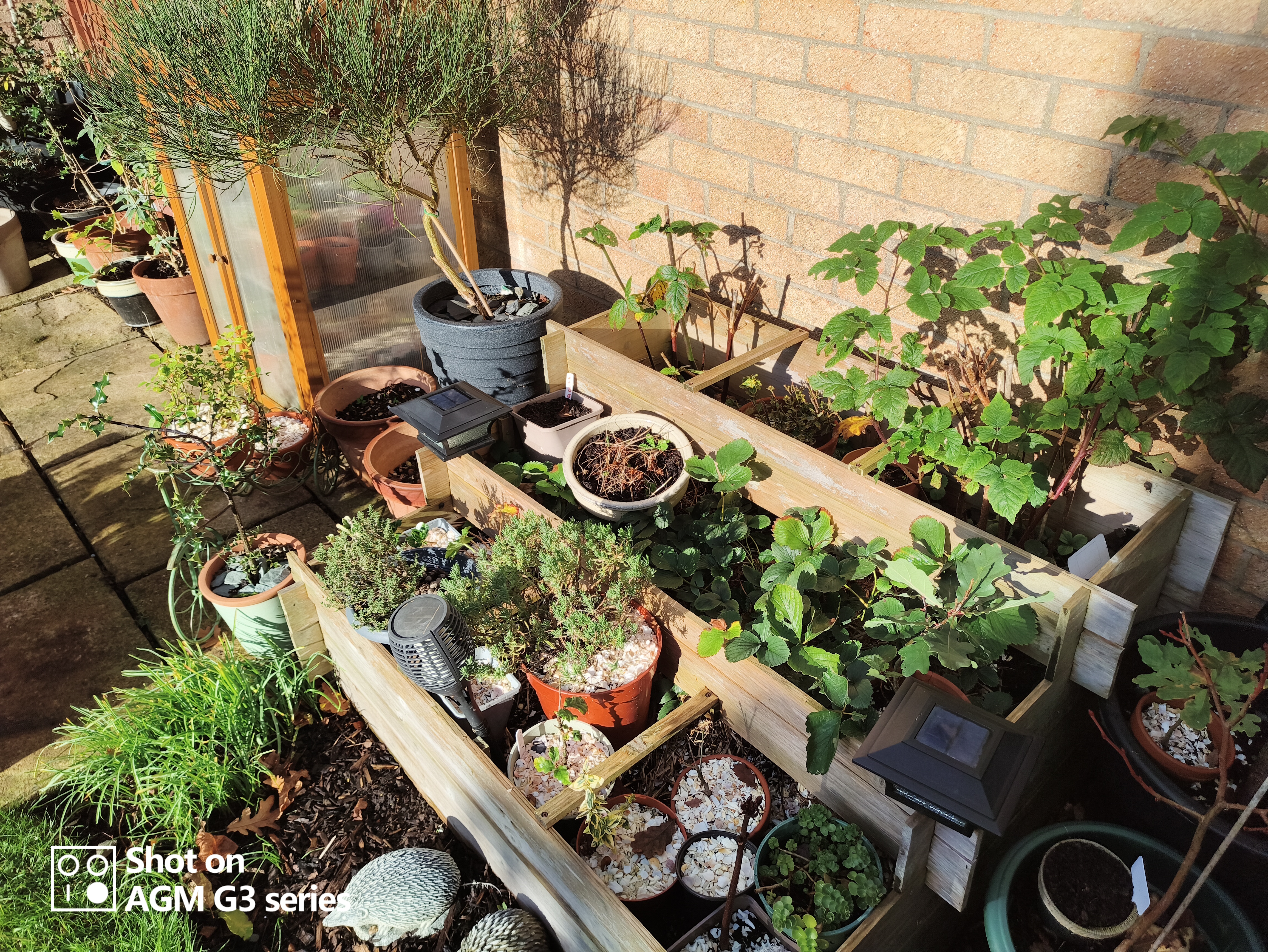 AGM G3 Pro photo and thermal examples