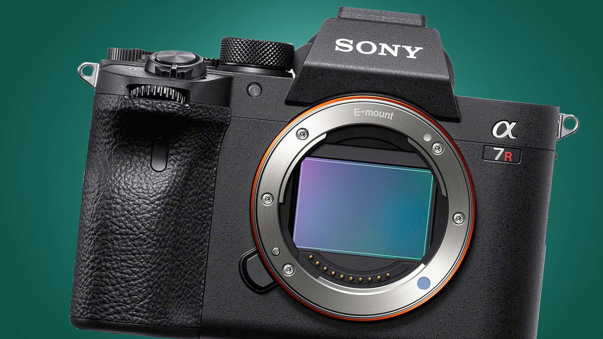 Sony A7R V на зеленом фоне