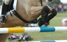 Showjumping legs