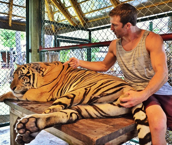 UFC fighter apologizes for grabbing tiger by the testicles