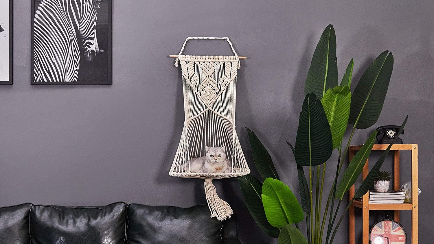 best cat hammock