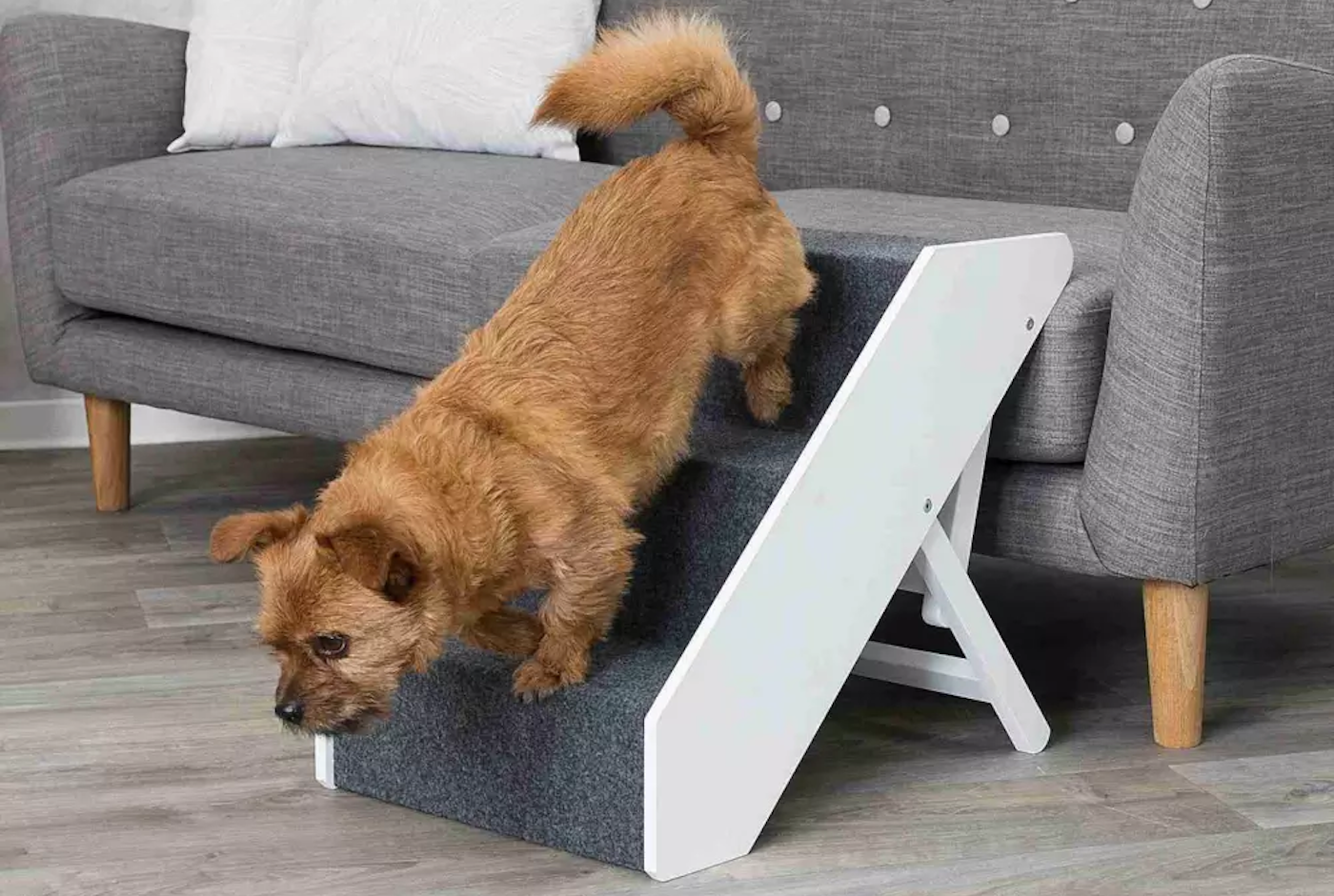 Trixie dog stairs