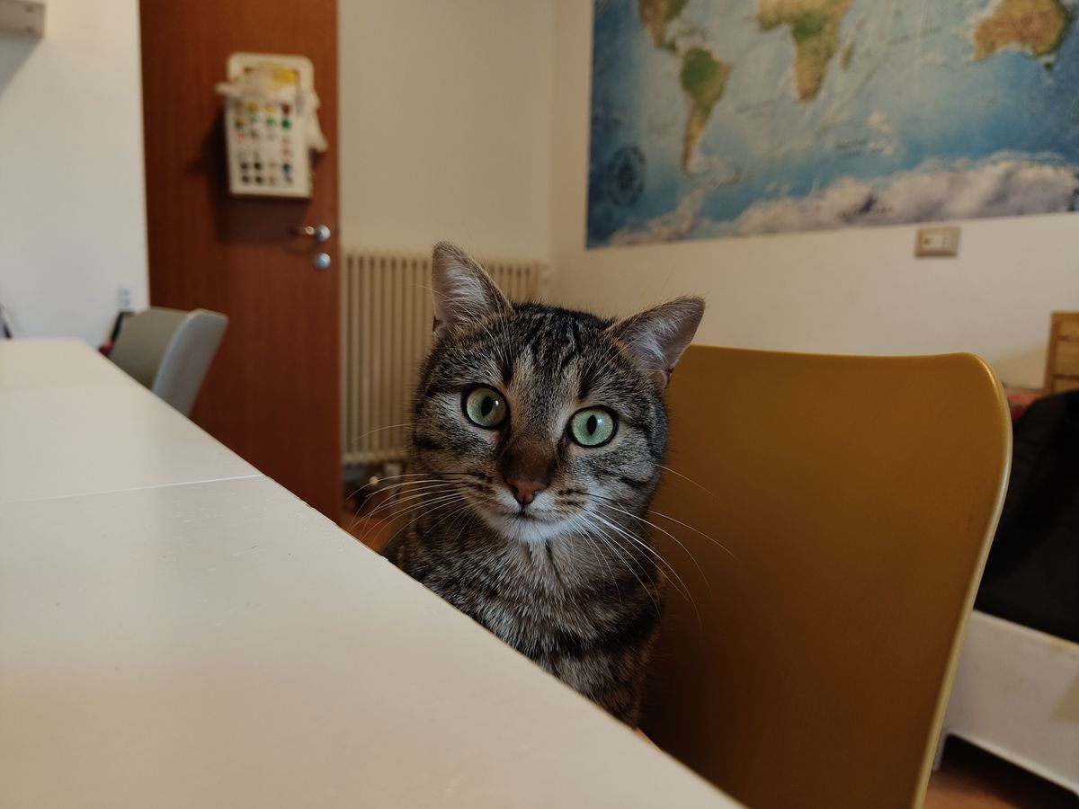 realme 14 Pro+