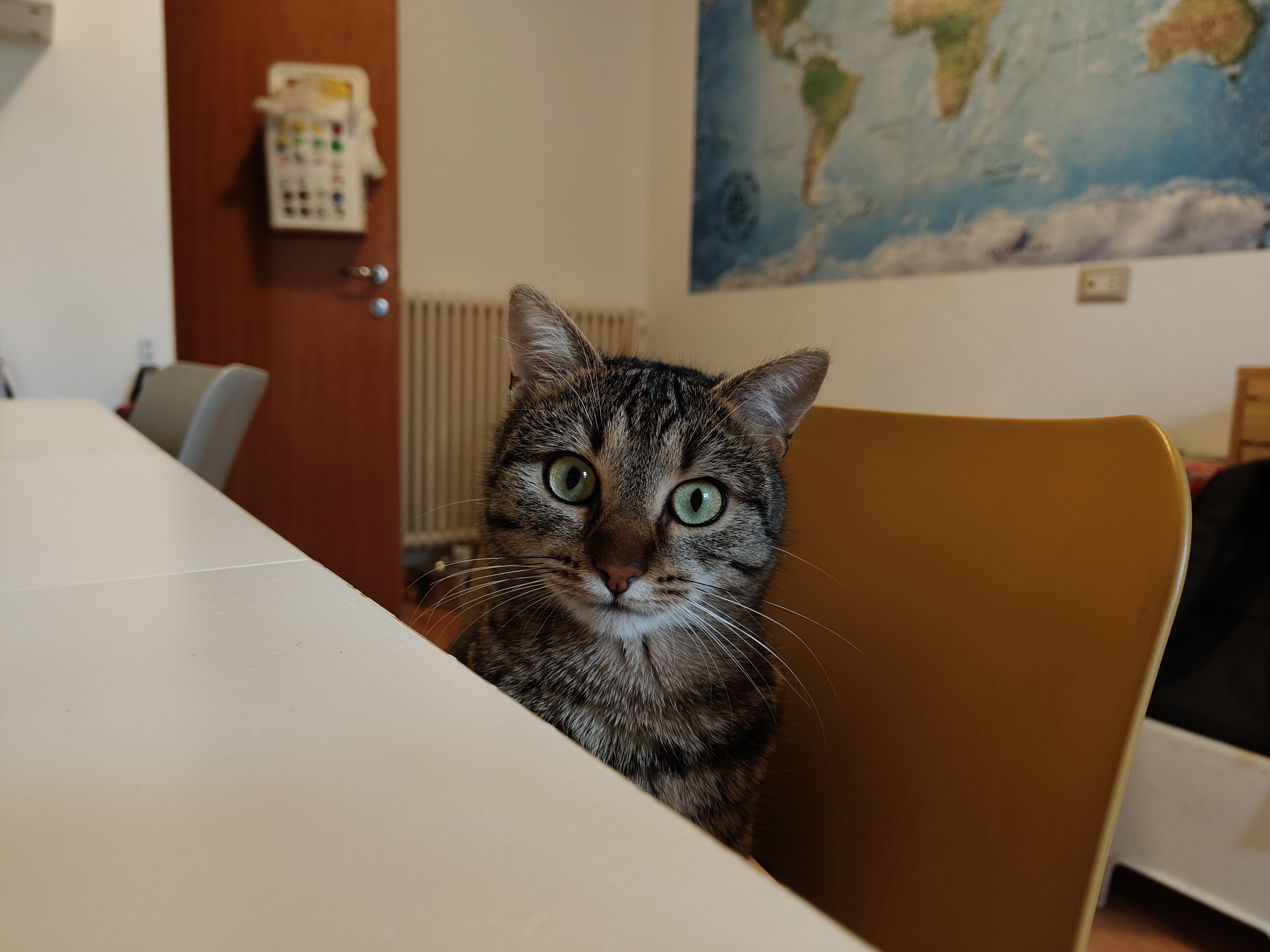 realme 14 Pro+