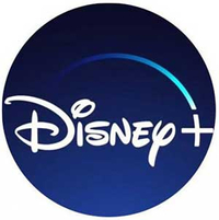Disney+ 12-month subscription |