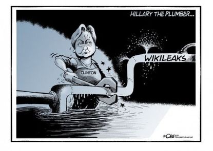 Hillary's faulty plumbing