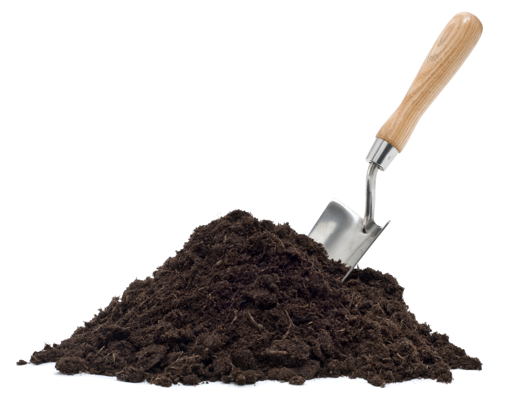 Heap of compost with a garden trowel isolated on white background.