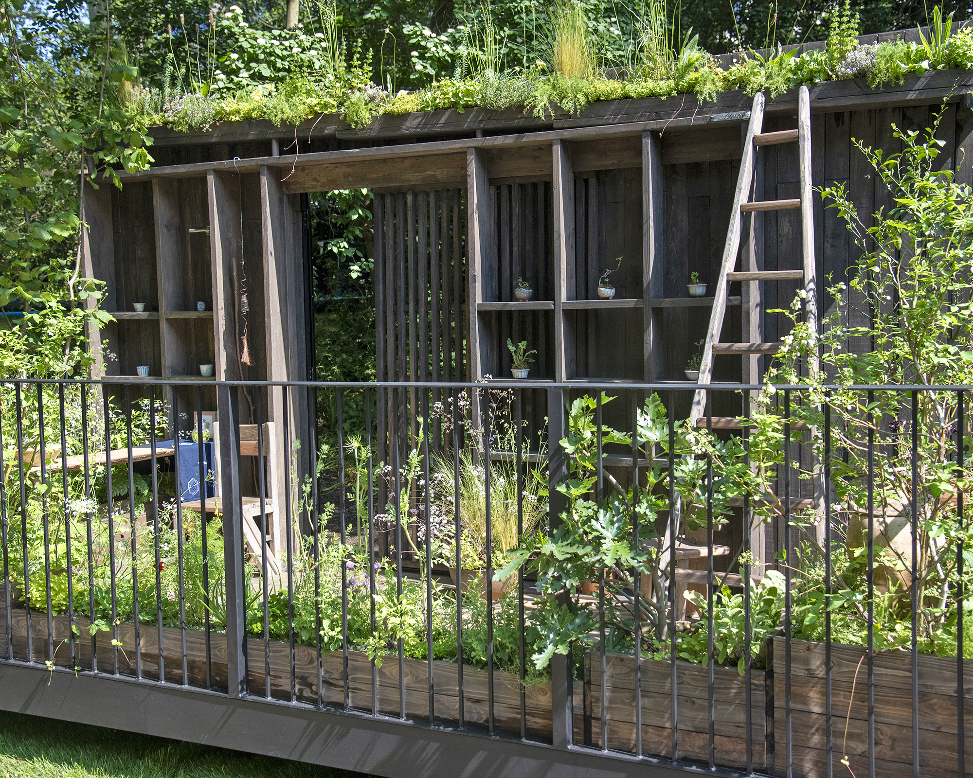 Tomie’s Cuisine the Nobonsai balcony garden at Chelsea Flower Show 2024