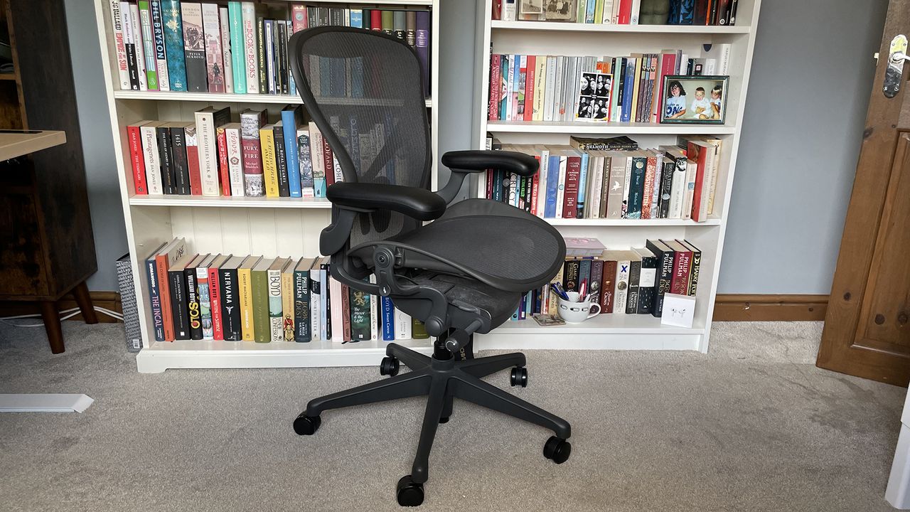 The Aeron sat in front of two book cases.