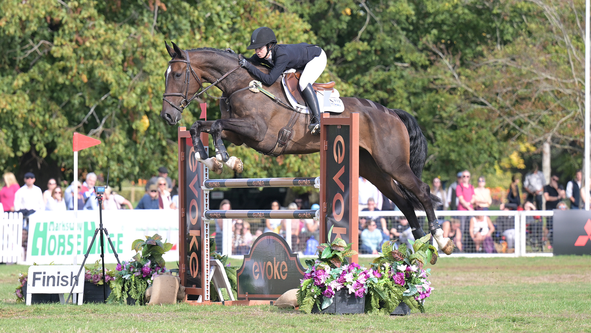 Tayla Mason, a rider in a dark coat, rides dark bay horse Joopiter over a brown showjump at Blenheim Horse Trials 2026