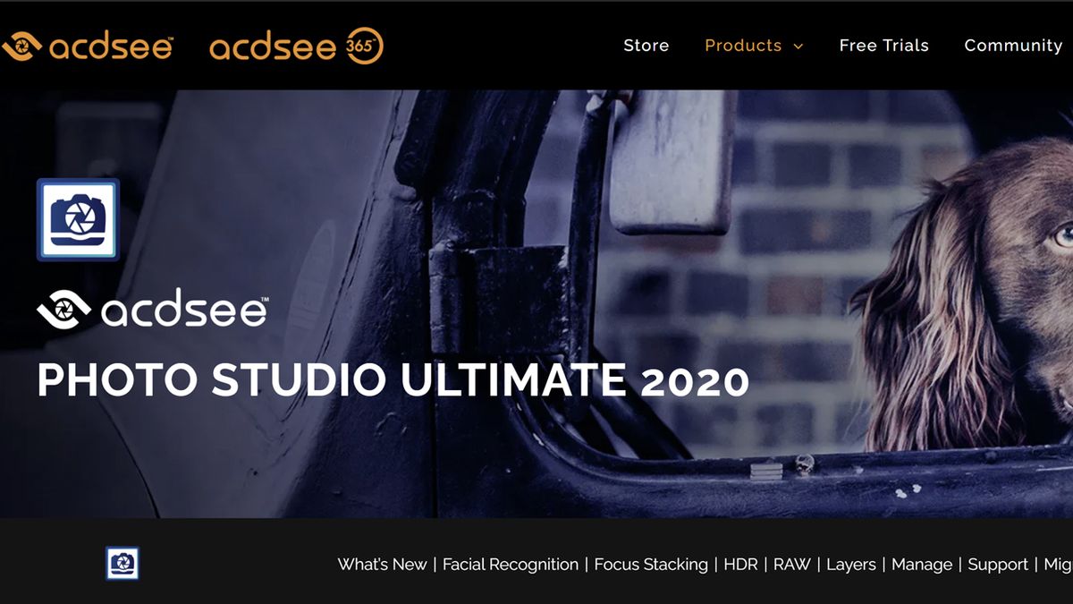 acdsee photo editor 11 review
