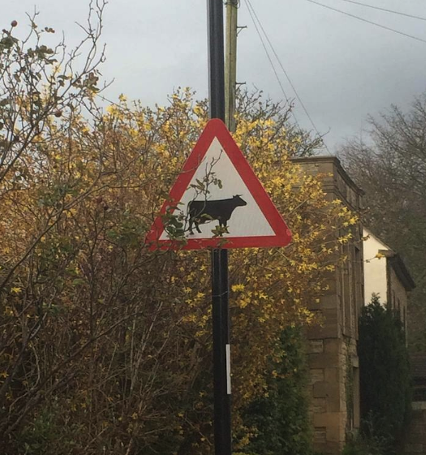 Lynn-Flyn-road-sign.png