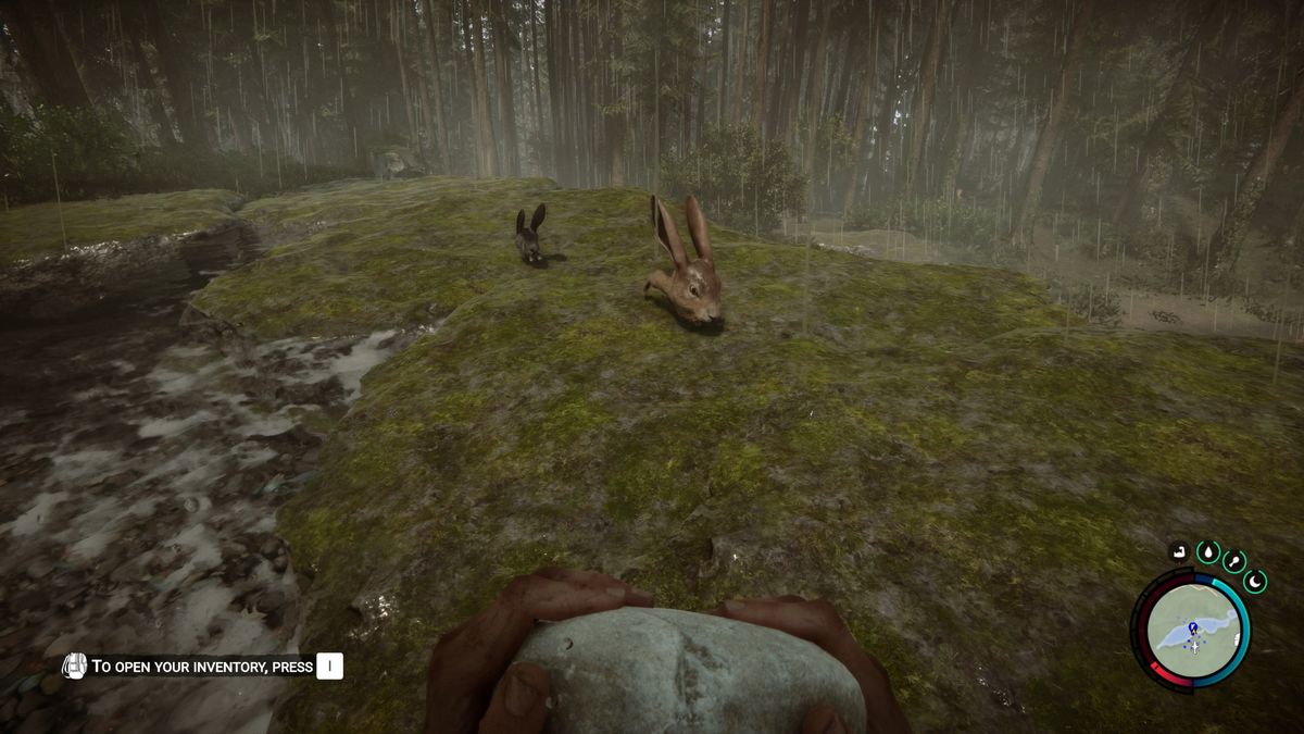 Sons of the Forest