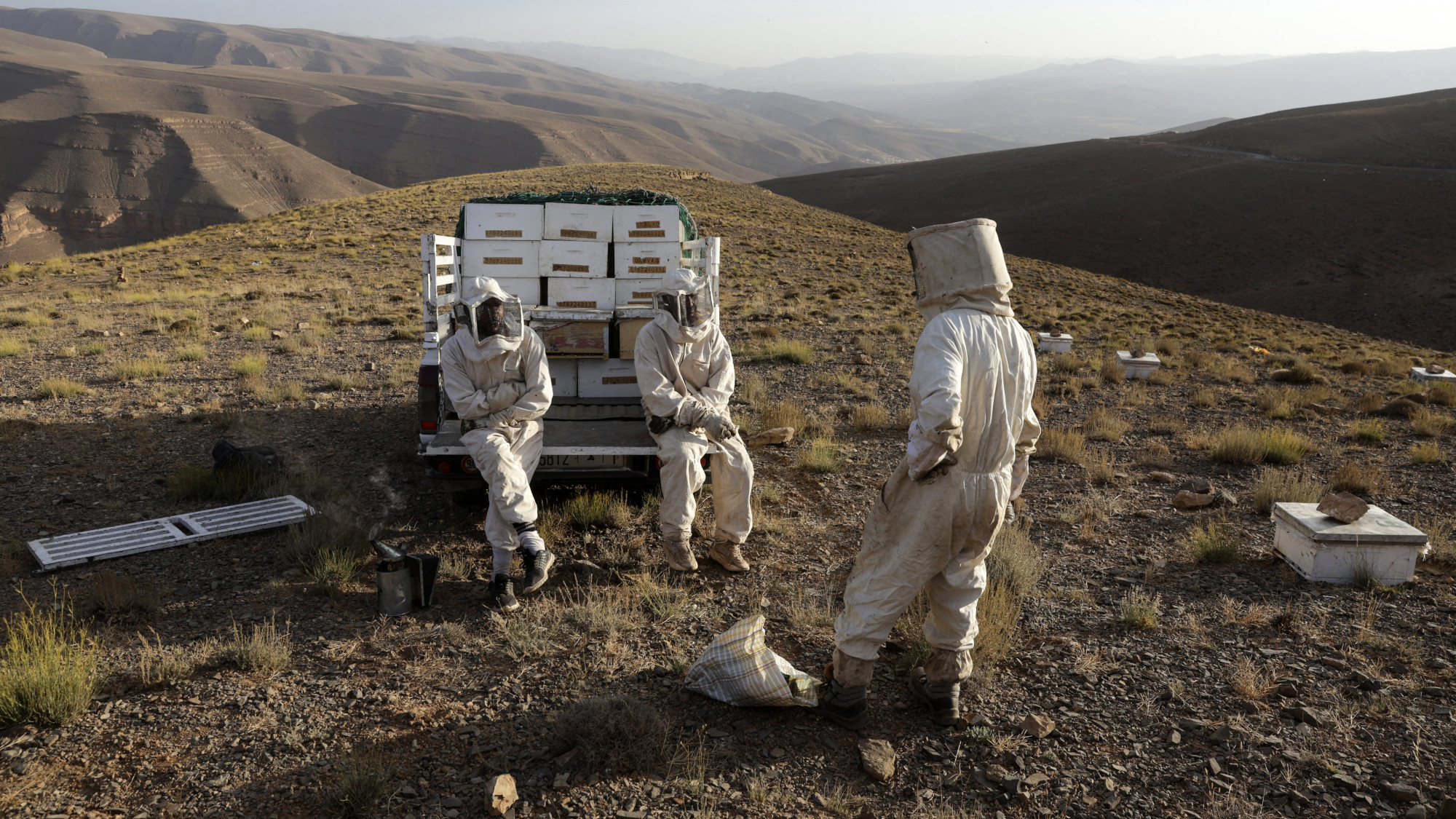 Beekeepers