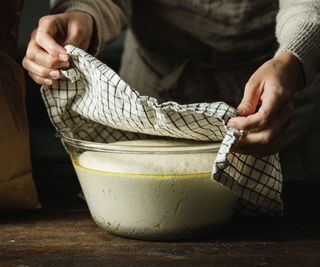 Close-up of female hands removing cover from bowl of a bread dough