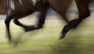 Horses hooves in a race