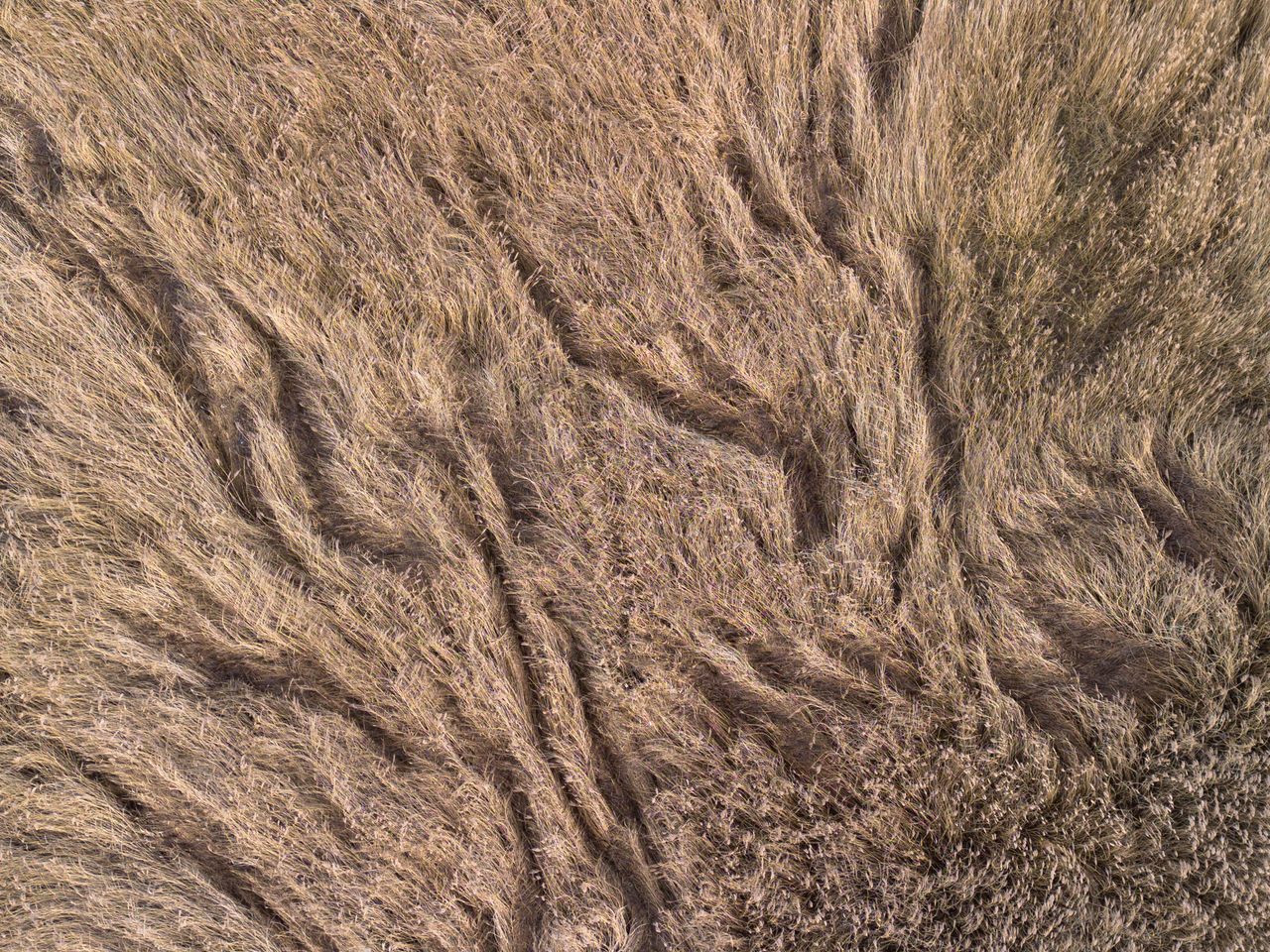 Photo taken with DJI Mini 3