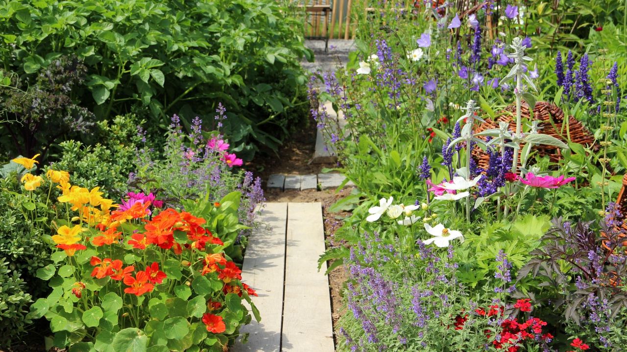 Vegetables, flowers, and herbs in a garden