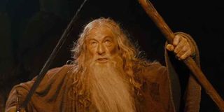 Ian McKellen as Gandalf the Grey in Lord of the Rings