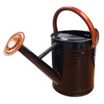 Lexi Home Watering Can Gardening Tools &amp;amp; Reviews | Wayfair