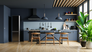 Kitchen with large plants