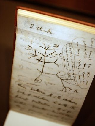 A photograph of a small notebook page with a simple sketch of a tree of life, with the words "I think" above it