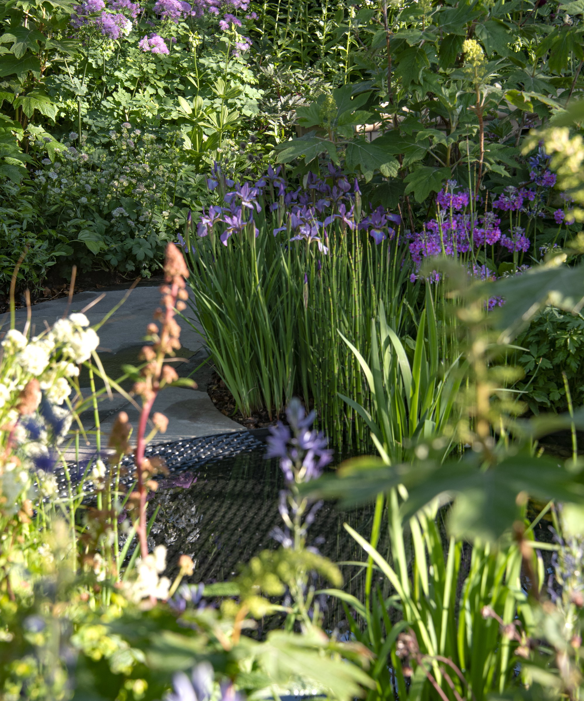 Purple flowers in a border around a water feature