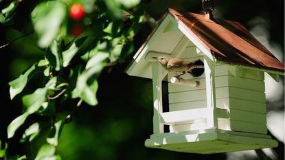 Architectural birdhouse