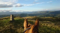 A pair of chestnut horse ears looking out over one of the UK&rsquo;s scenic horse riding locations. There is mountainous heathland and a granite tor in the foreground.