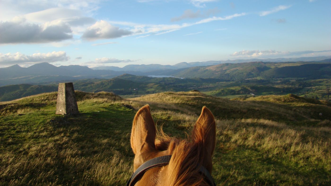 A pair of chestnut horse ears looking out over one of the UK&rsquo;s scenic horse riding locations. There is mountainous heathland and a granite tor in the foreground.
