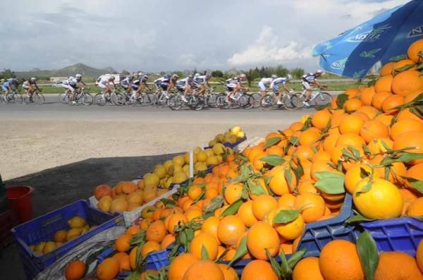 The peloton was in orange-producing country on stage 7.