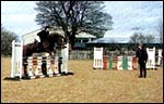 95F20085-3A74-46BE-843E-30061DD1502F.jpg