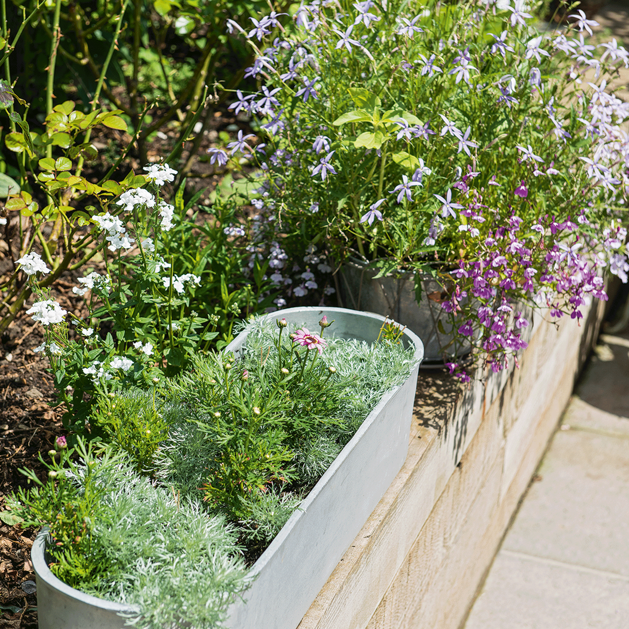 Herbs in metal container