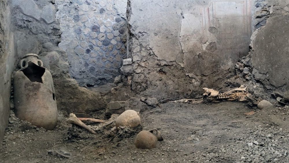 2 HIDDEN MALE SKELETONS DISCOVERED UNDER PILE OF RUBBLE IN POMPEII S HOUSE OF THE CHASTE LOVERS visual data 5