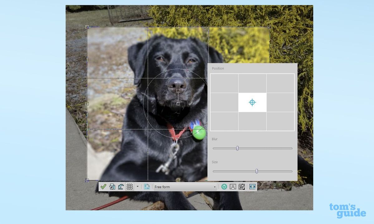 Corel Pro 2019 Full Review Tom's Guide