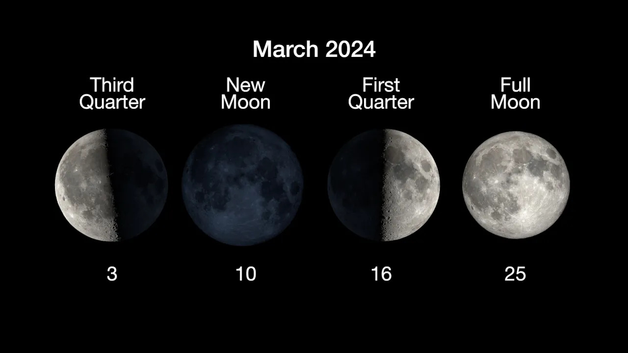 Lunar Phase Calendar