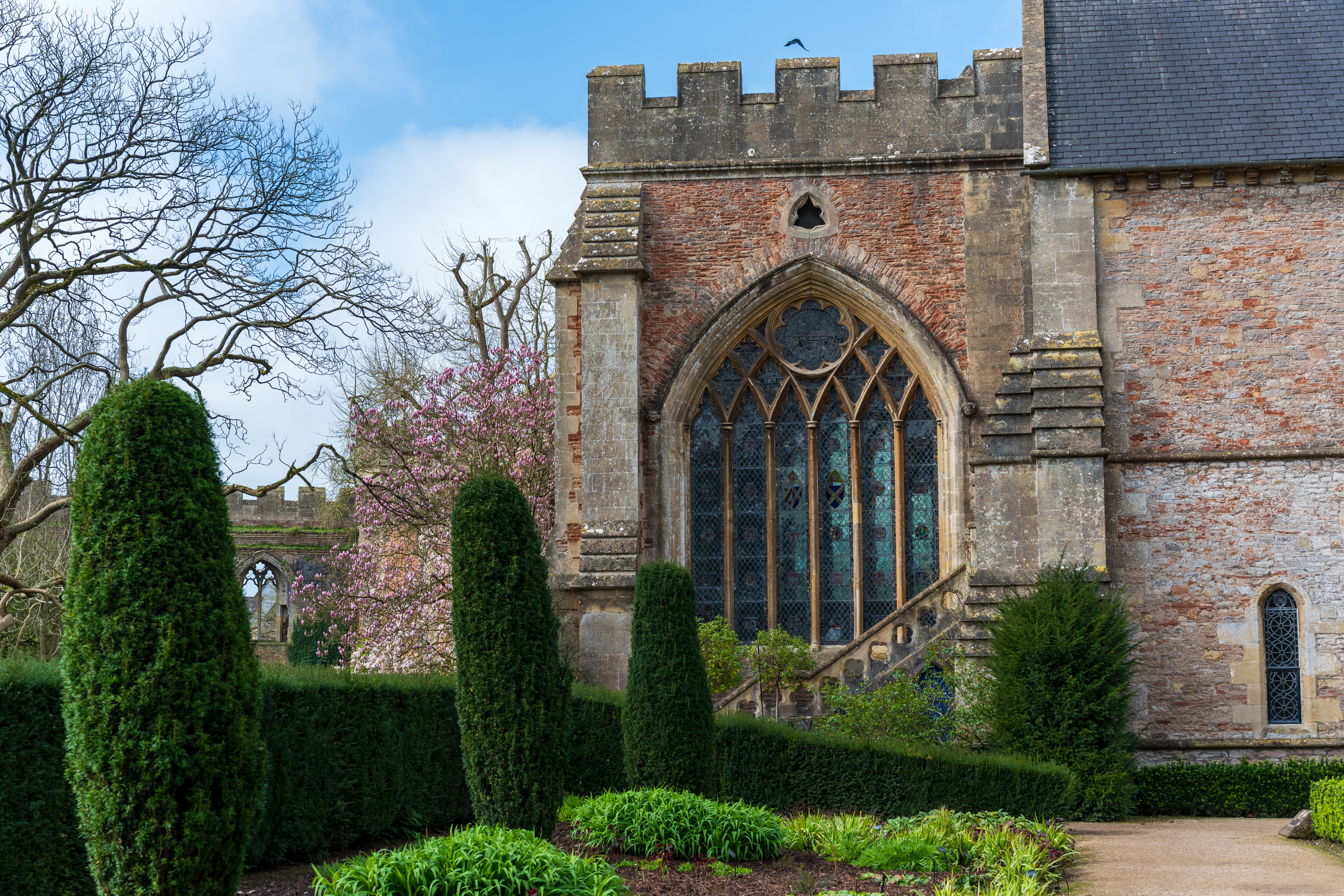 Viltrox AF 55mm f/1.8 Evo sample image