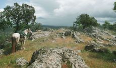 horseback riding in Andalusia