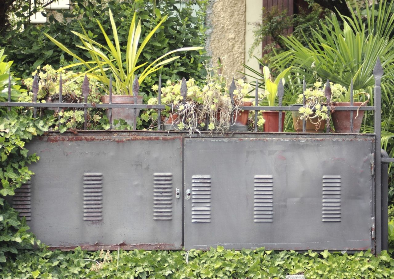 Utility Box Surrounded By Plants And Vines