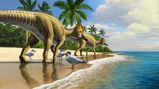 Duckbill dinosaurs evolved in North America, spreading to South America, Asia, Europe and finally Africa.