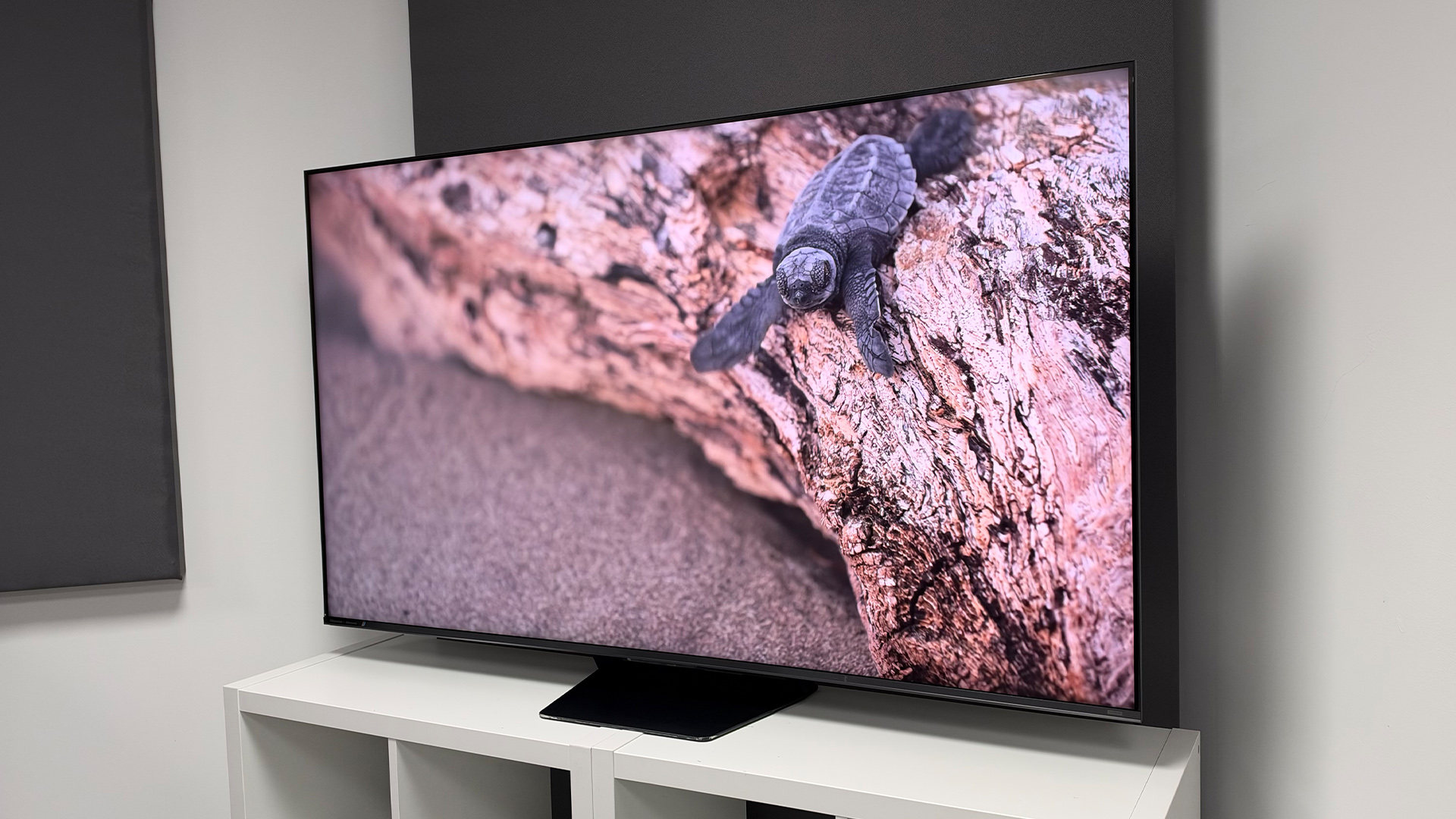 Hisense UR8 RGB Mini LED TV