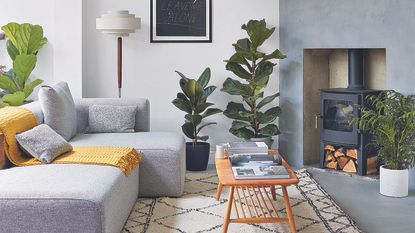 living room with white wall and shelves